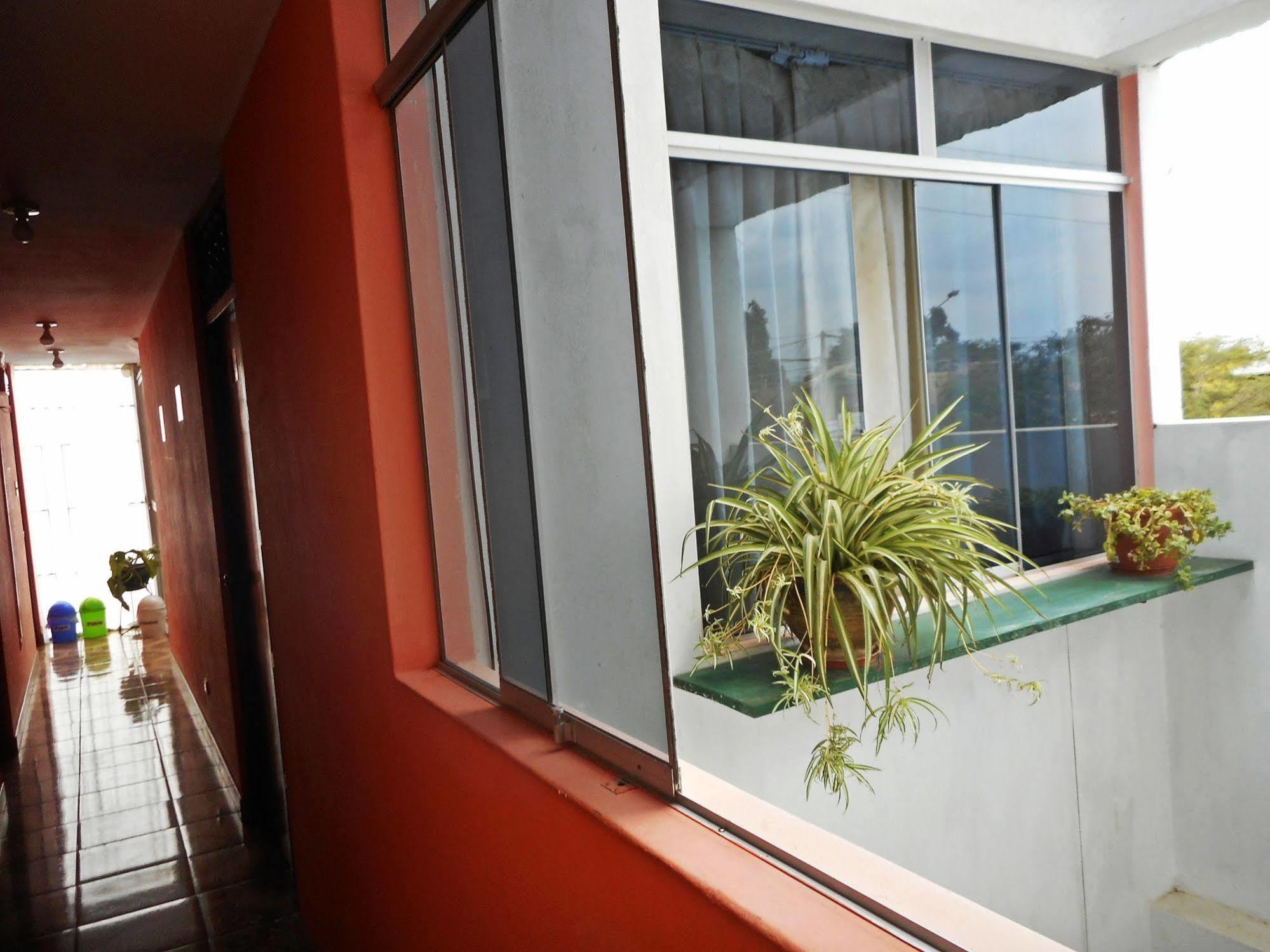 Hostal Geminis San Juan Bautista Exteriér fotografie